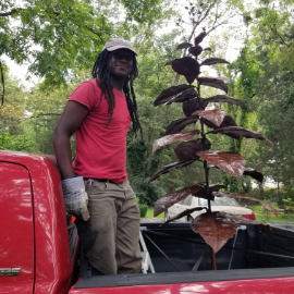 A photo of a Lago Luna Studio assistant at the installation site of a Tobacco Plant Sculpture commission.